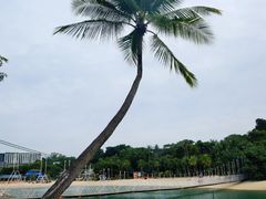 -巴拉湾海滩