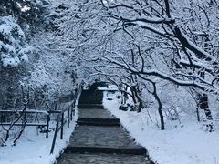 -香山公园