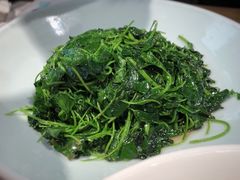 清炒金花菜-庆江南江南菜(张家港吾悦店)