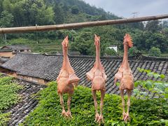 -杨家堂村