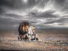 -罗红摄影艺术馆