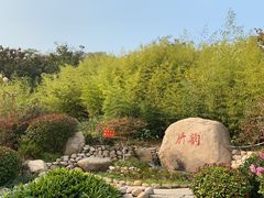 -竹子庵公园