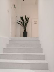 -微笑雨嘉造型护肤