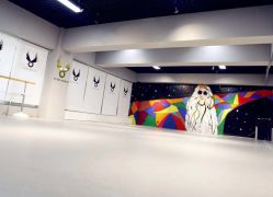 点击看大图 -欲非舞蹈