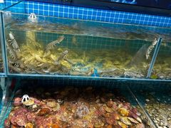 -仙螺岛海鲜自助餐厅(总店)