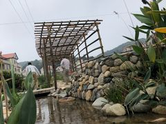 -军营村