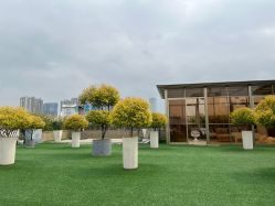 -维倪月子会所(独栋庭院·南海店)