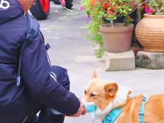 -广州市紫泥堂文化创意园景区