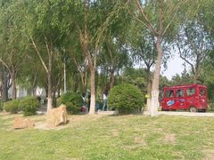 -丁香湖公园
