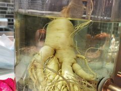 -再回头私房菜·老南京菜