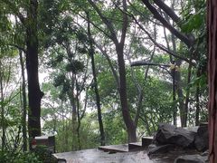 -广州市白云山风景名胜区