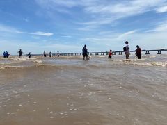 -南汇嘴观海公园