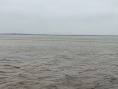-观潮胜地公园