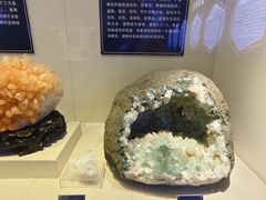 -安徽省地质博物馆