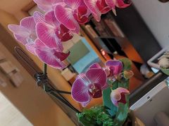 -逸栈养生SPA(望京店)