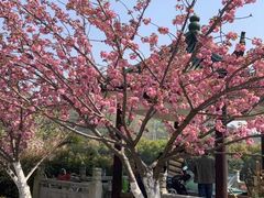 -无锡市乌鹤山公墓办事处