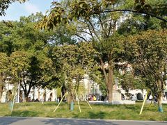 -长沙市青少年宫