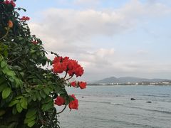 -三亚山海天JW万豪酒店