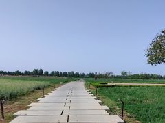 -汉长安城未央宫国家考古遗址公园