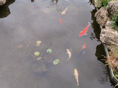 -嘉北郊野公园