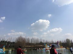 -秀丽东方