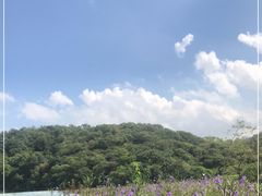 -李小龙乐园(顺德均安店)