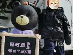 -京北渔家傲