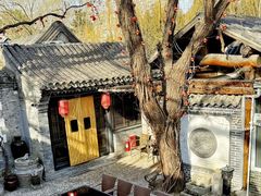 -悦真雅院·四合院·清真私房菜(雍和宫店)
