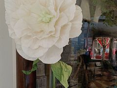 -好一朵茉莉花(老门东店)