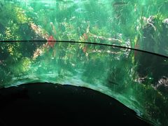 -中国湿地博物馆