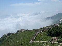 -白草畔自然风景区