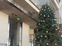 -上海柏悦酒店·世纪100牛排馆