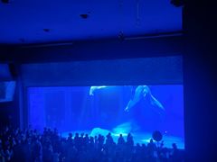 -上海海昌海洋公园-冰山北极馆