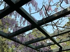-北京市劳动人民文化宫(太庙)