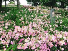 -Tuna maki寿司(园区永旺店)