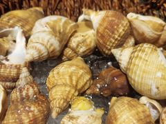 -圣丰索菲特·2 On 988 Café 自助餐厅