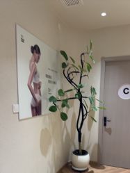 -美丽妈妈产后恢复中心(南桥旗舰店)