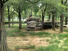 -秦皇岛野生动物园