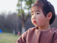 -羊山湖公园