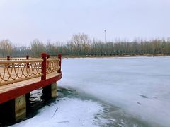 -东郊湿地公园