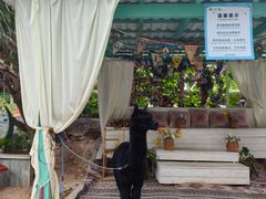 -蜈支洲岛珊瑚酒店临海阁中餐厅