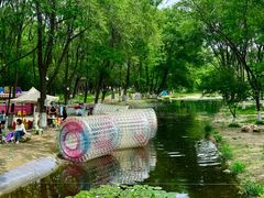 -长白岛森林公园