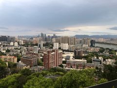 -福道