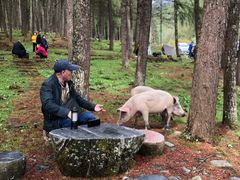 -硗碛藏寨·神木垒景区
