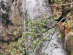 -大鄣山卧龙谷景区