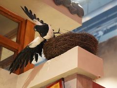 -马路边边串串香(双井直营店)