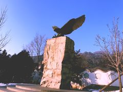 -北京鹫峰国家森林公园