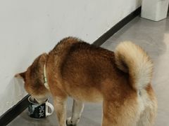 -NOTBAD 须时·咖啡馆