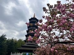 -重庆园博园