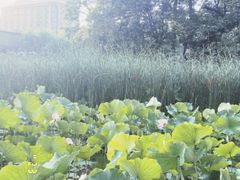 -悠米私人影院(街道口店)